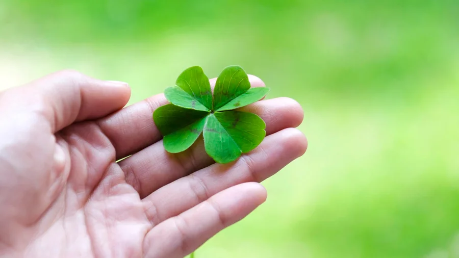 Banhos Mágicos: Ervas para Atrair Sorte e Dinheiro