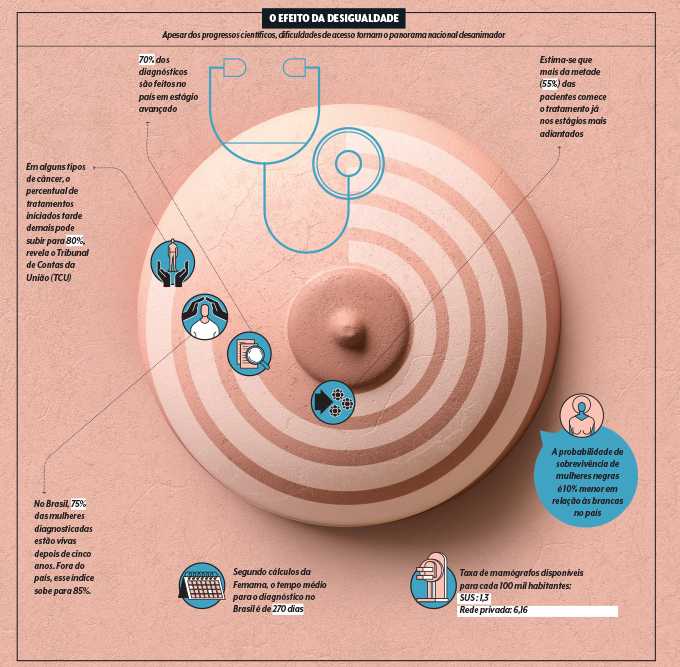 Sobrevida Cancer De Mama