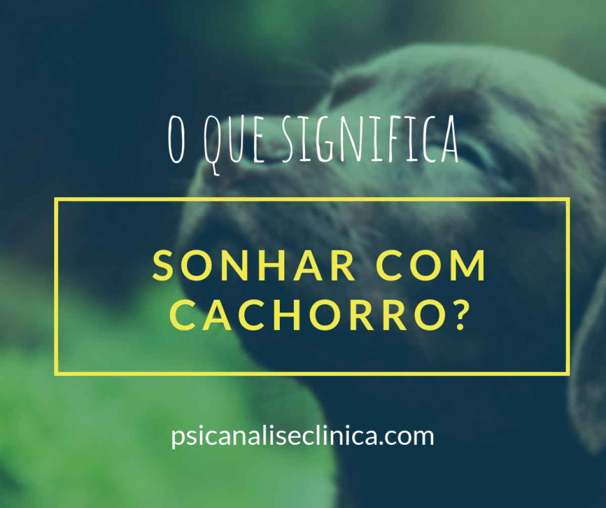 Como interpretar sonhos com animais: um guia completo