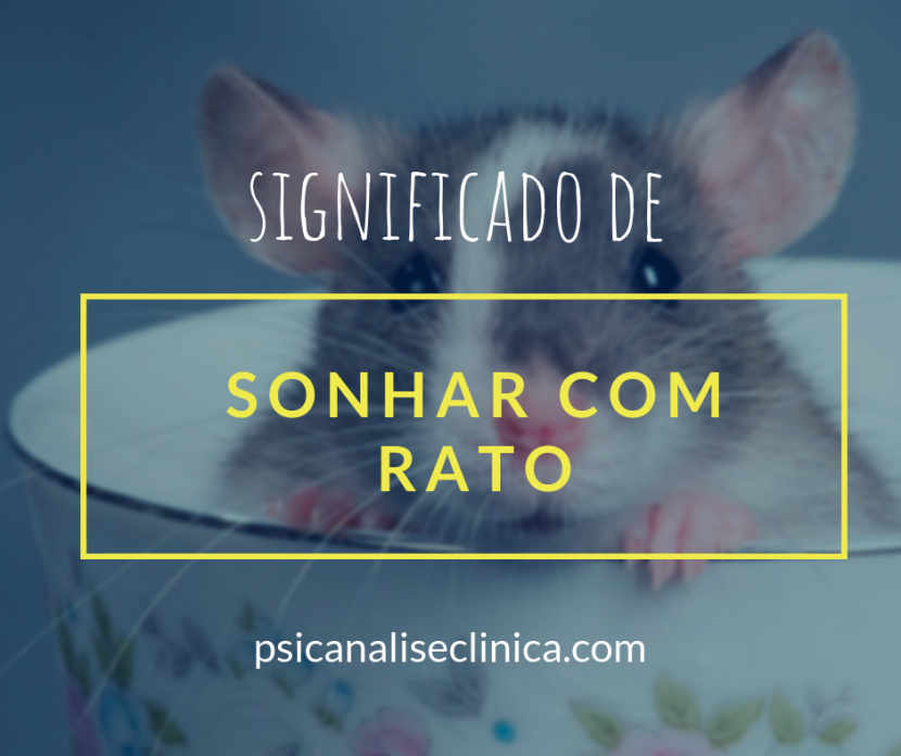 sonhar com rato quais os bons presságios
