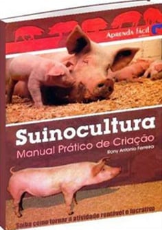 criação de porcos ao ar livre