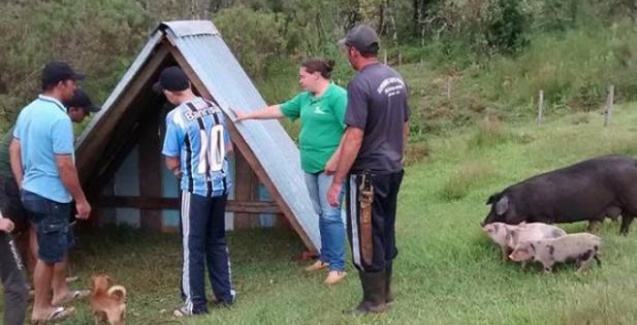 sistema SISCAL vantagens e desvantagens