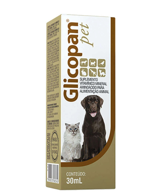 Cães idosos: Suplementos essenciais para uma vida longa e saudável