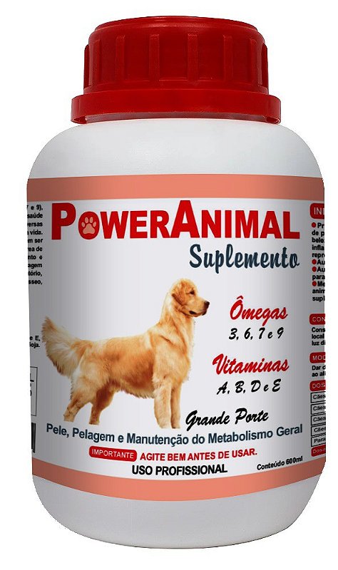 Guia completo: Como escolher o suplemento ideal para seu cão