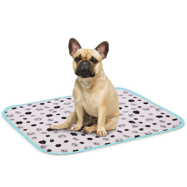 tapete higiênico lavável para cachorro