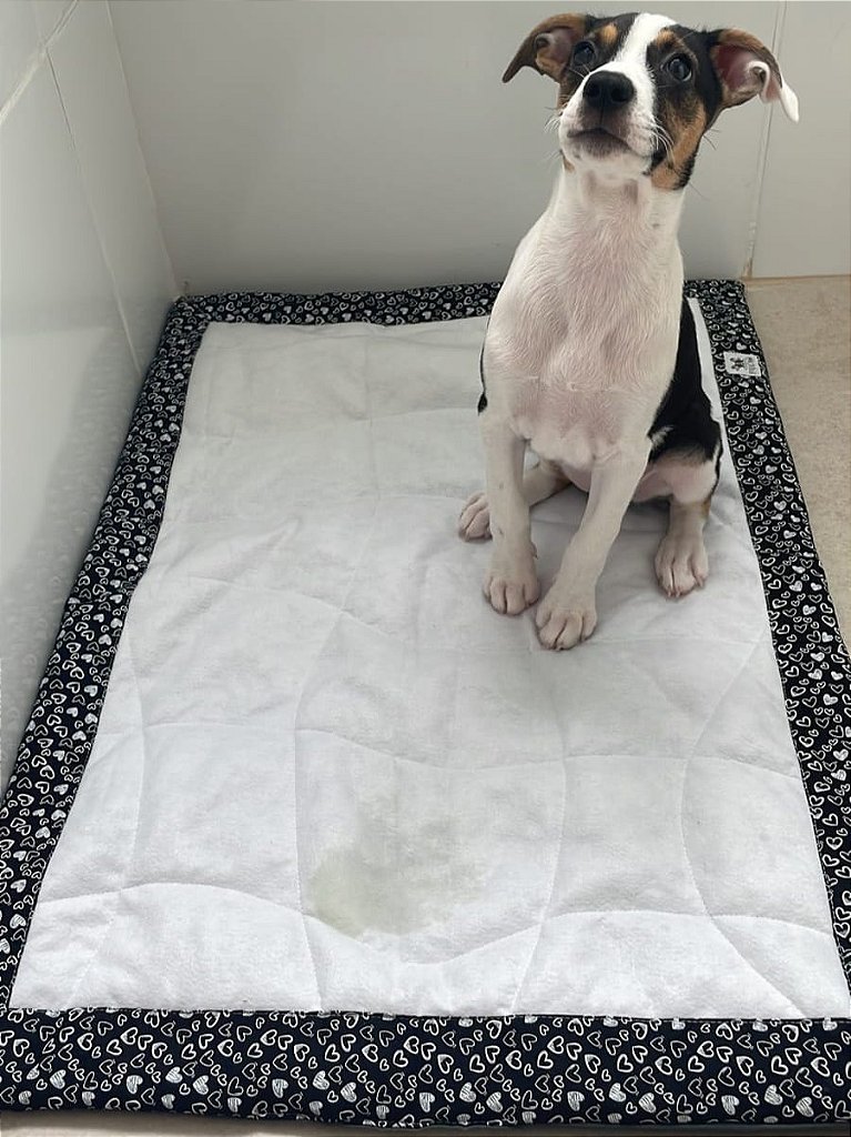 tapete higiênico lavável