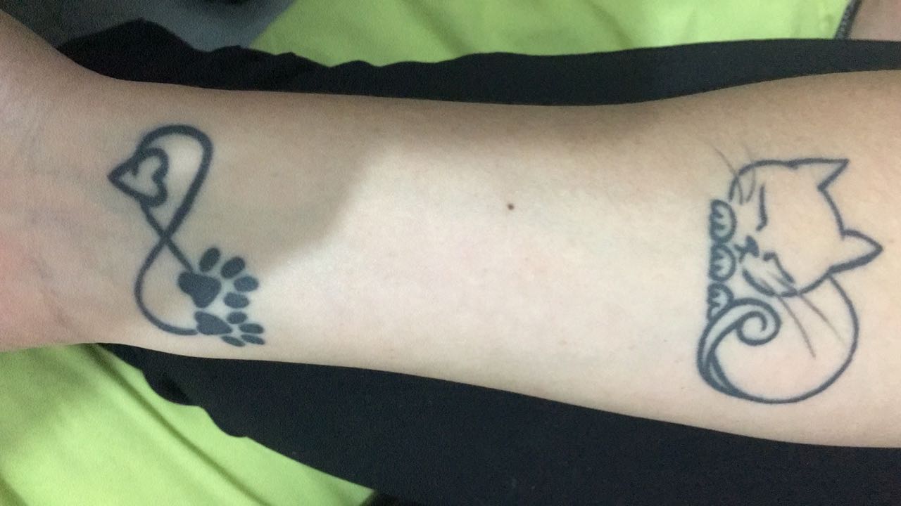 Tattoo Gatinho Contorno