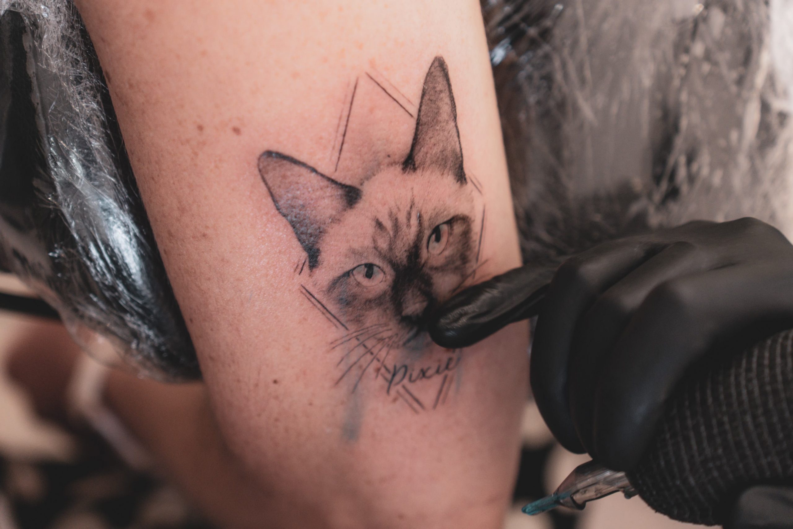 Tattoo Gatinho Contorno