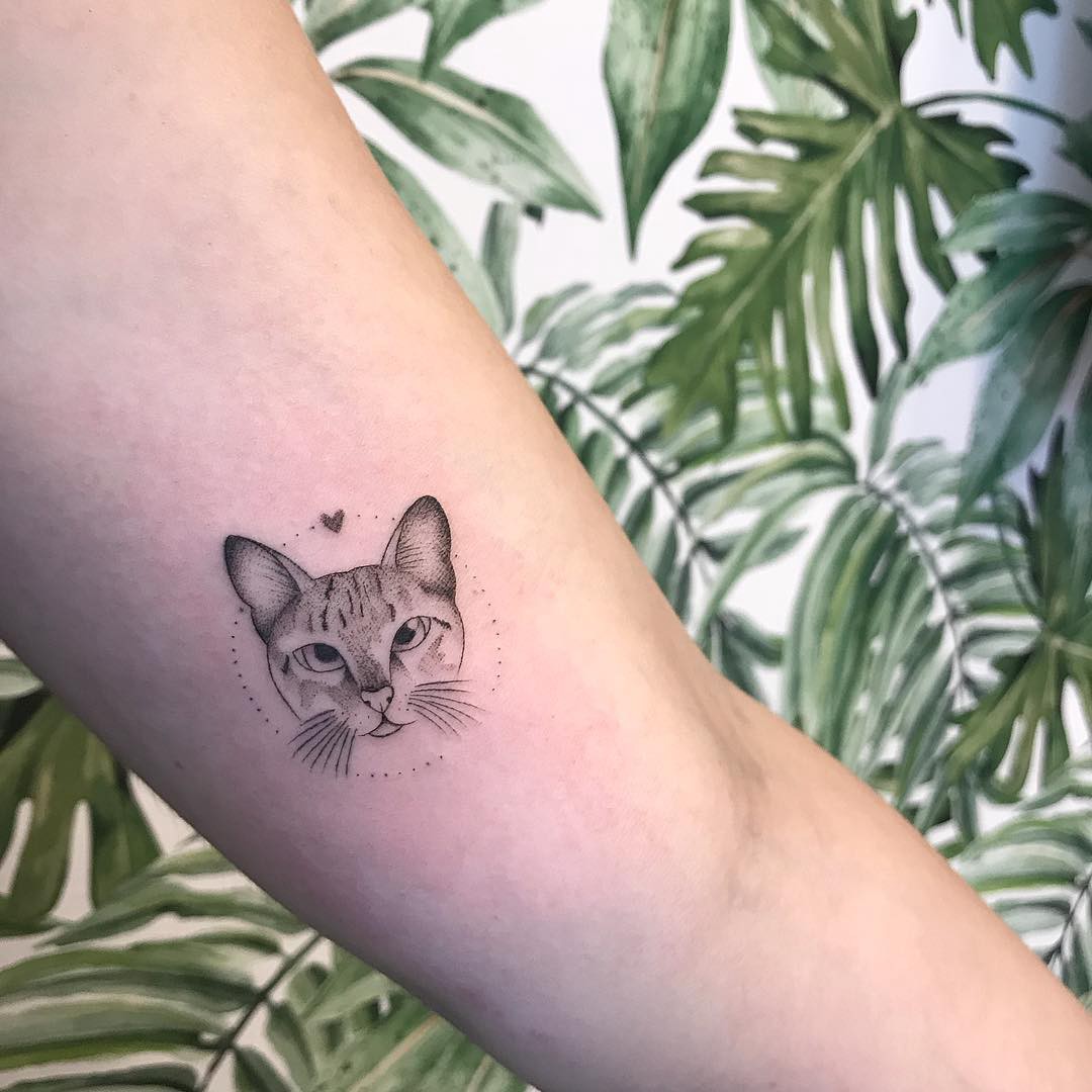 Tattoo Gatinho Contorno