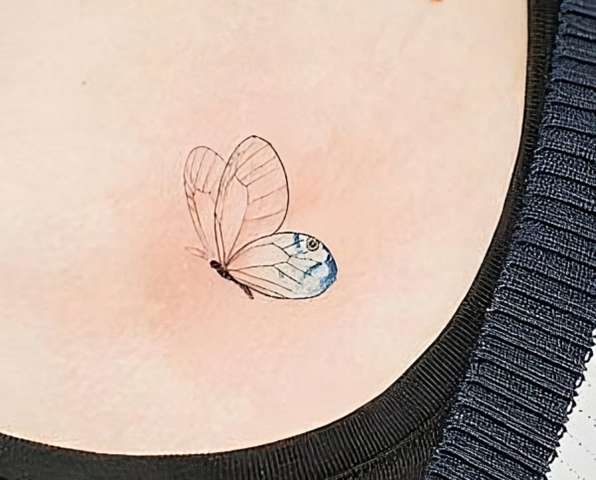 tatuagem borboleta nas costas