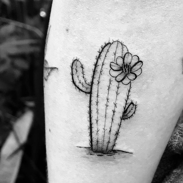Tatuagem De Cacto