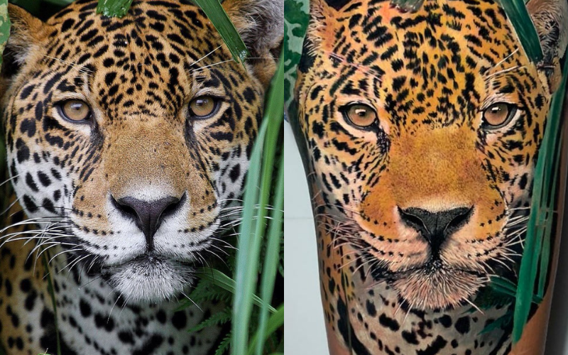 Os Melhores Estilos de Tatuagem de Onça: Do Realismo ao Minimalismo