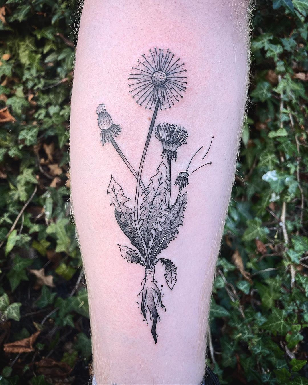 Tatuagem Dente De Leao