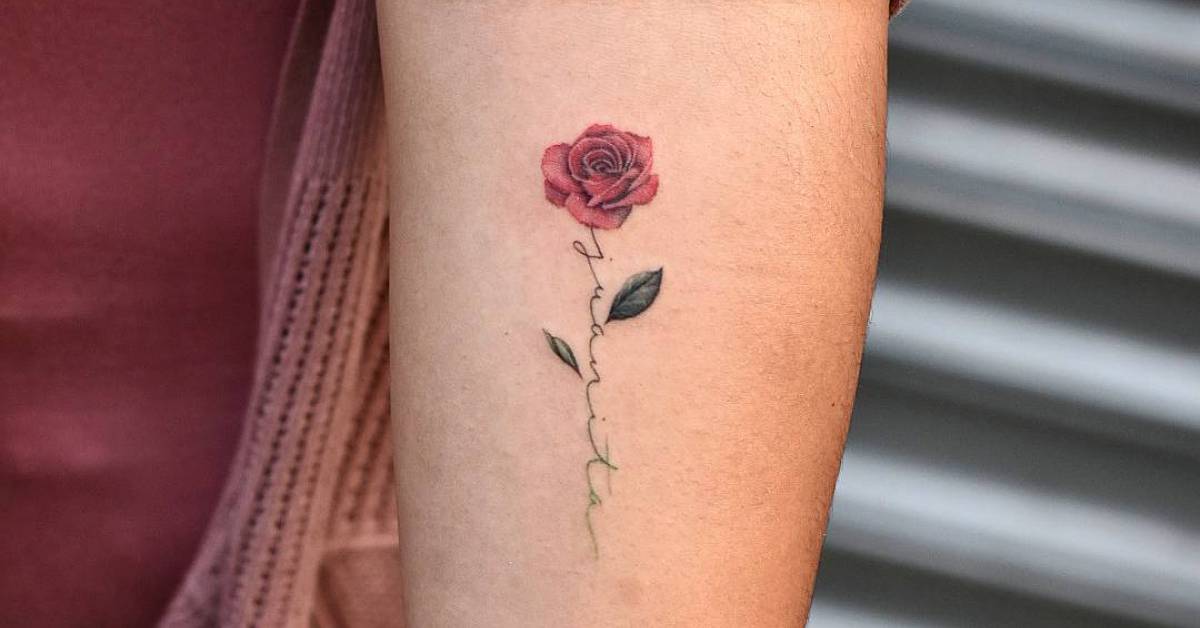 5 ideias de títulos