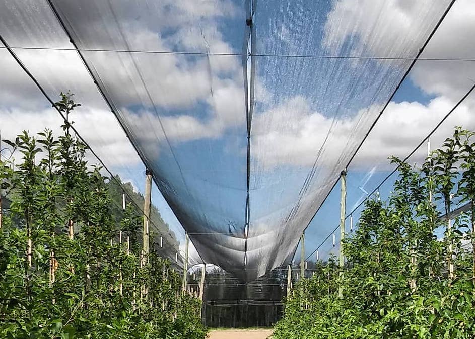 tela antigranizo para pomar