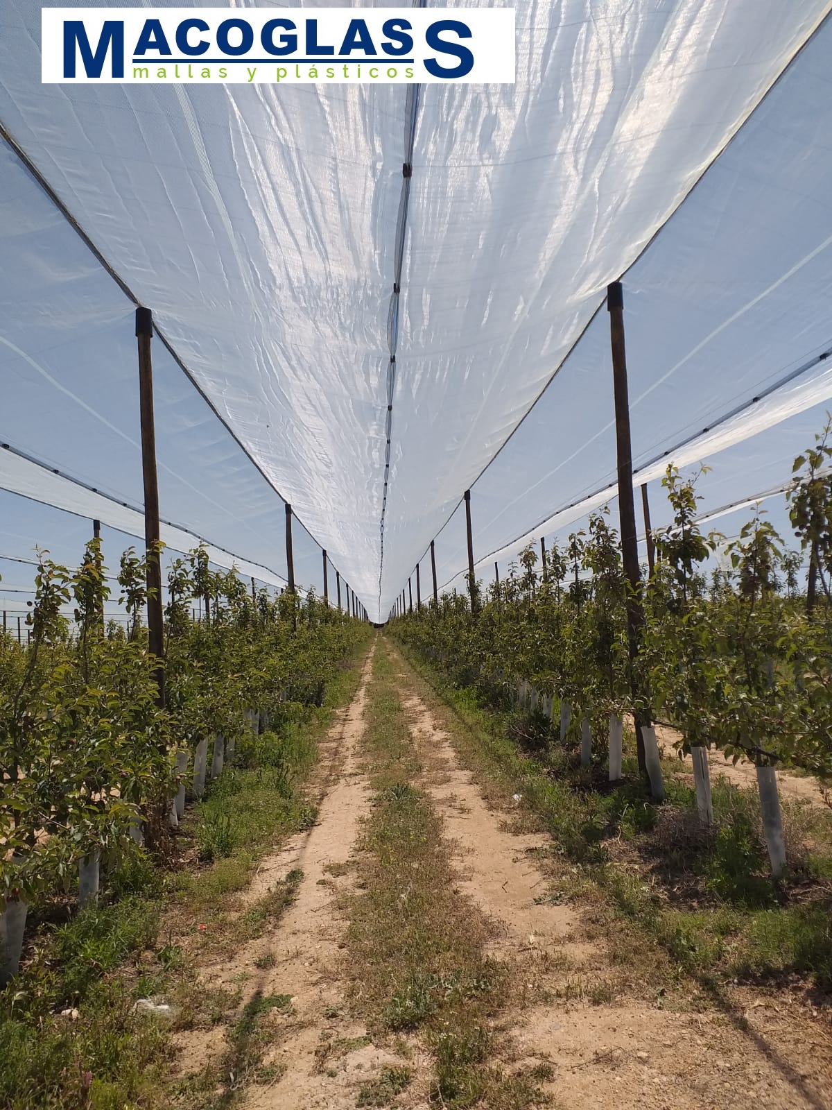 onde comprar tela antigranizo PEAD