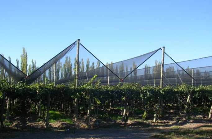 preço tela antigranizo agricola