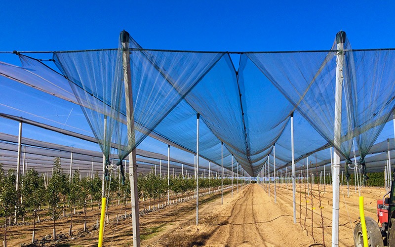 onde comprar tela antigranizo PEAD