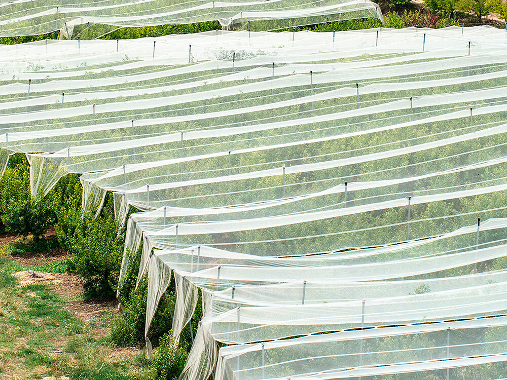 onde comprar tela antigranizo PEAD