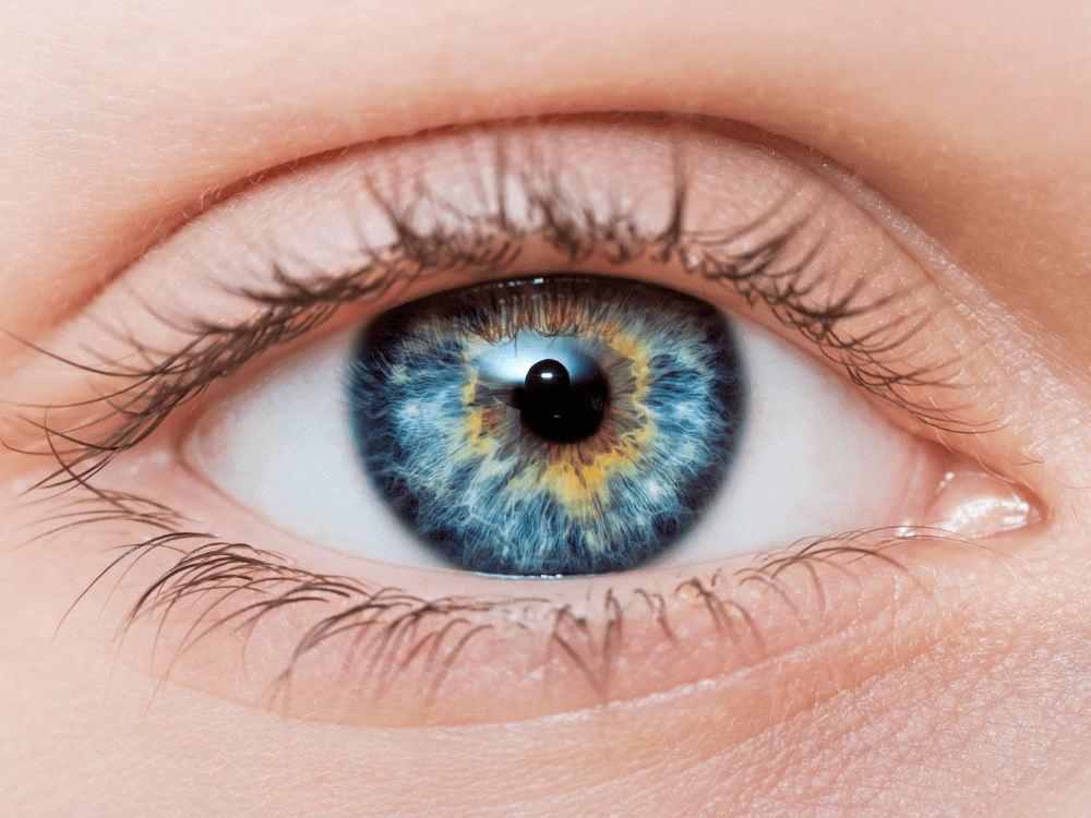 Arredondados ou Encapuzados? Descubra o Seu!
3. Maquiagem Ideal para Cada Formato de Olho: Dicas Infalíveis
4. Como Escolher Óculos Perfeitos para o Formato do Seu Olho
5. O Guia Definitivo dos Formatos de Olhos: De Monolídios a Olhos Profundos