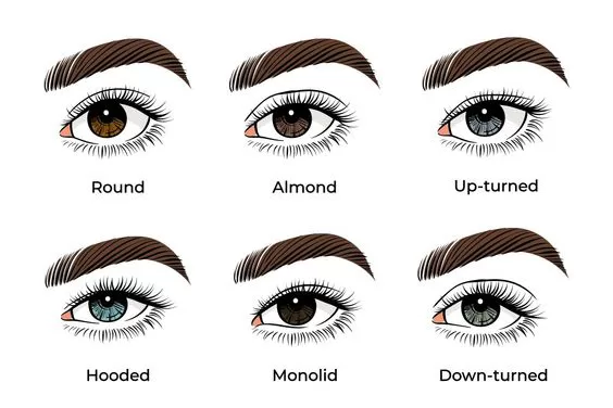 Arredondados ou Encapuzados? Descubra o Seu!
3. Maquiagem Ideal para Cada Formato de Olho: Dicas Infalíveis
4. Como Escolher Óculos Perfeitos para o Formato do Seu Olho
5. O Guia Definitivo dos Formatos de Olhos: De Monolídios a Olhos Profundos