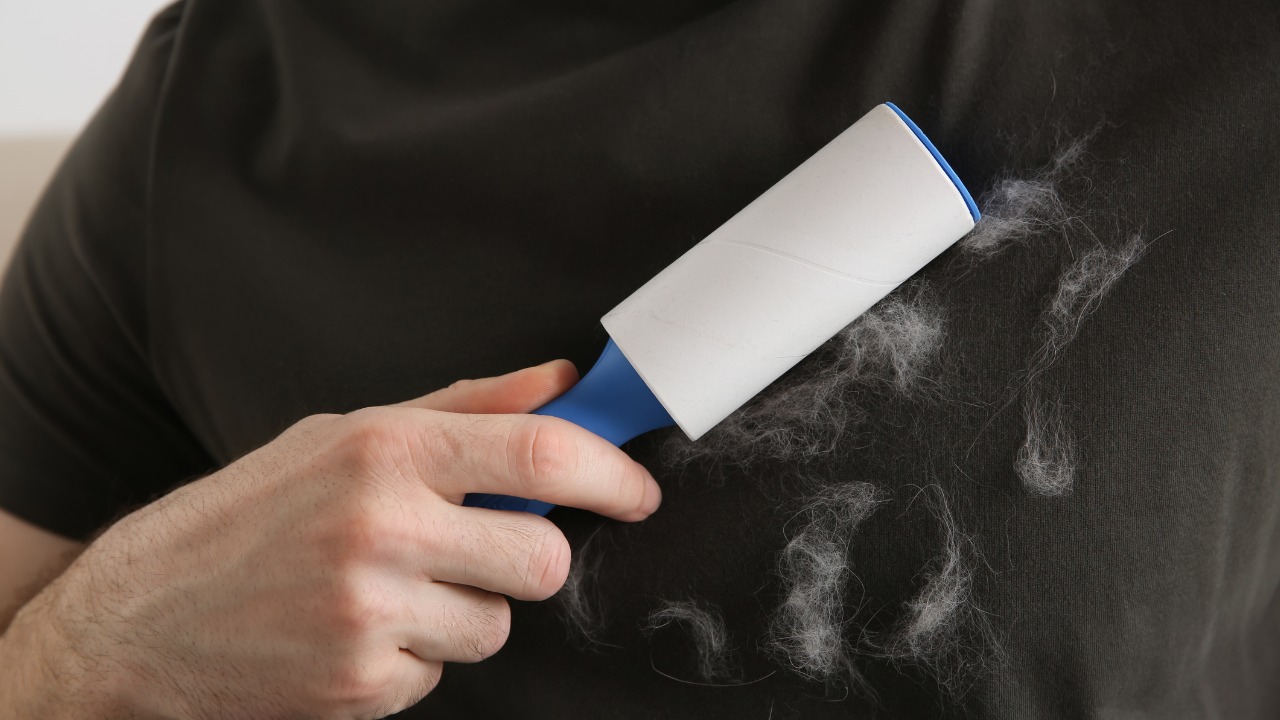 Tirar Pelo De Calça Preta