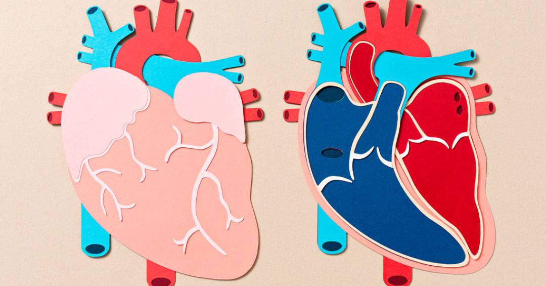 taxa de sucesso transplante cardíaco