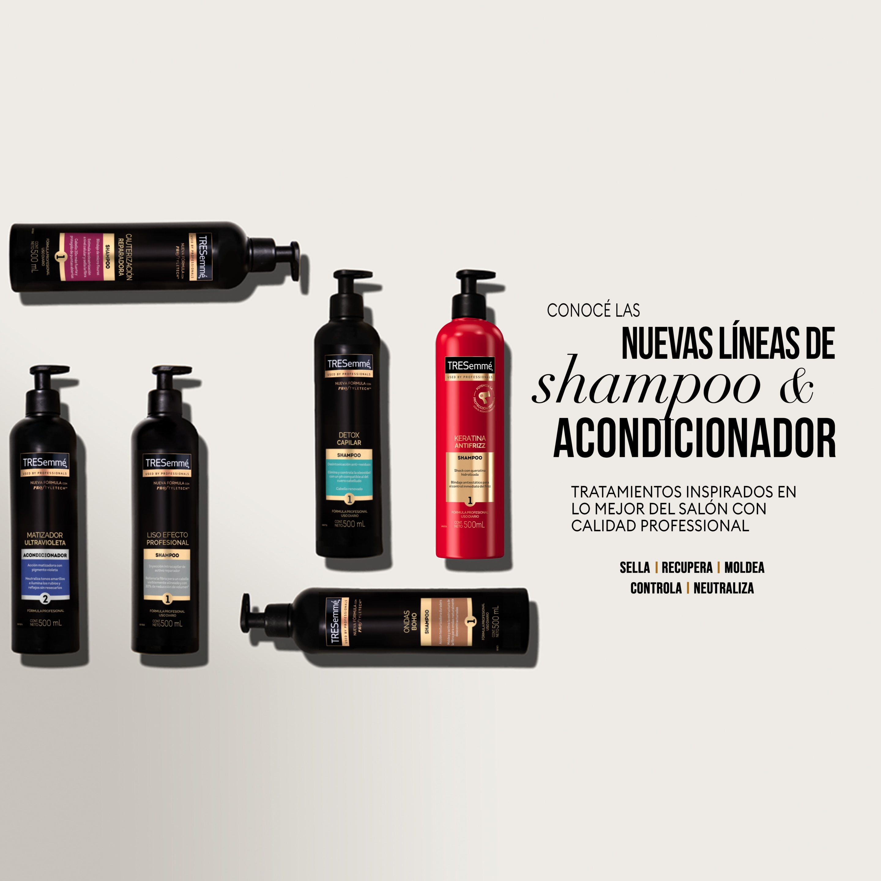 Os Benefícios do Matcha e Gengibre para a Saúde do Couro Cabeludo