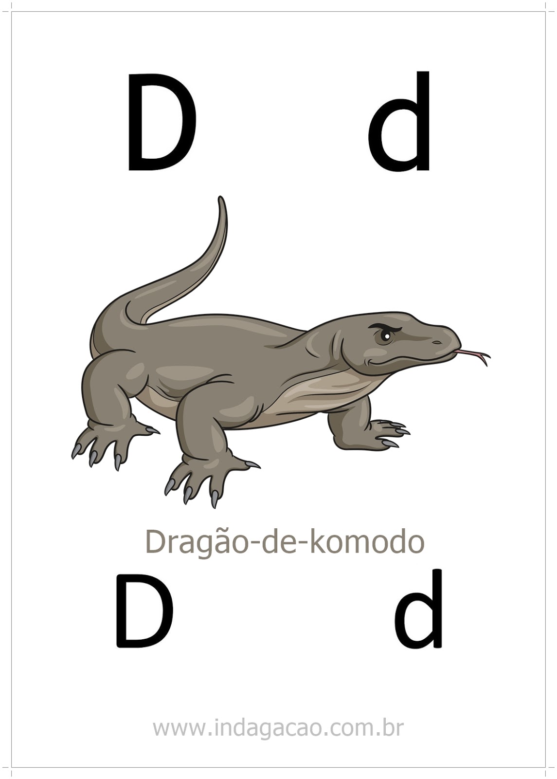 animais marinhos com a letra D