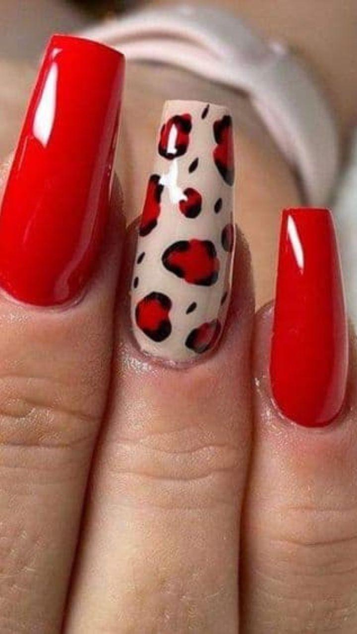 Unhas Animal Print: Tendências e Inspirações para Arrasar