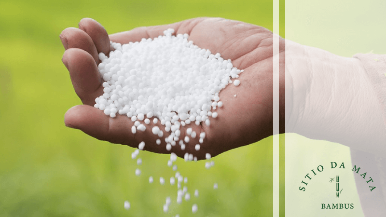 Ureia na Dermatologia: Guia Completo para Hidratação e Tratamento de Doenças de Pele