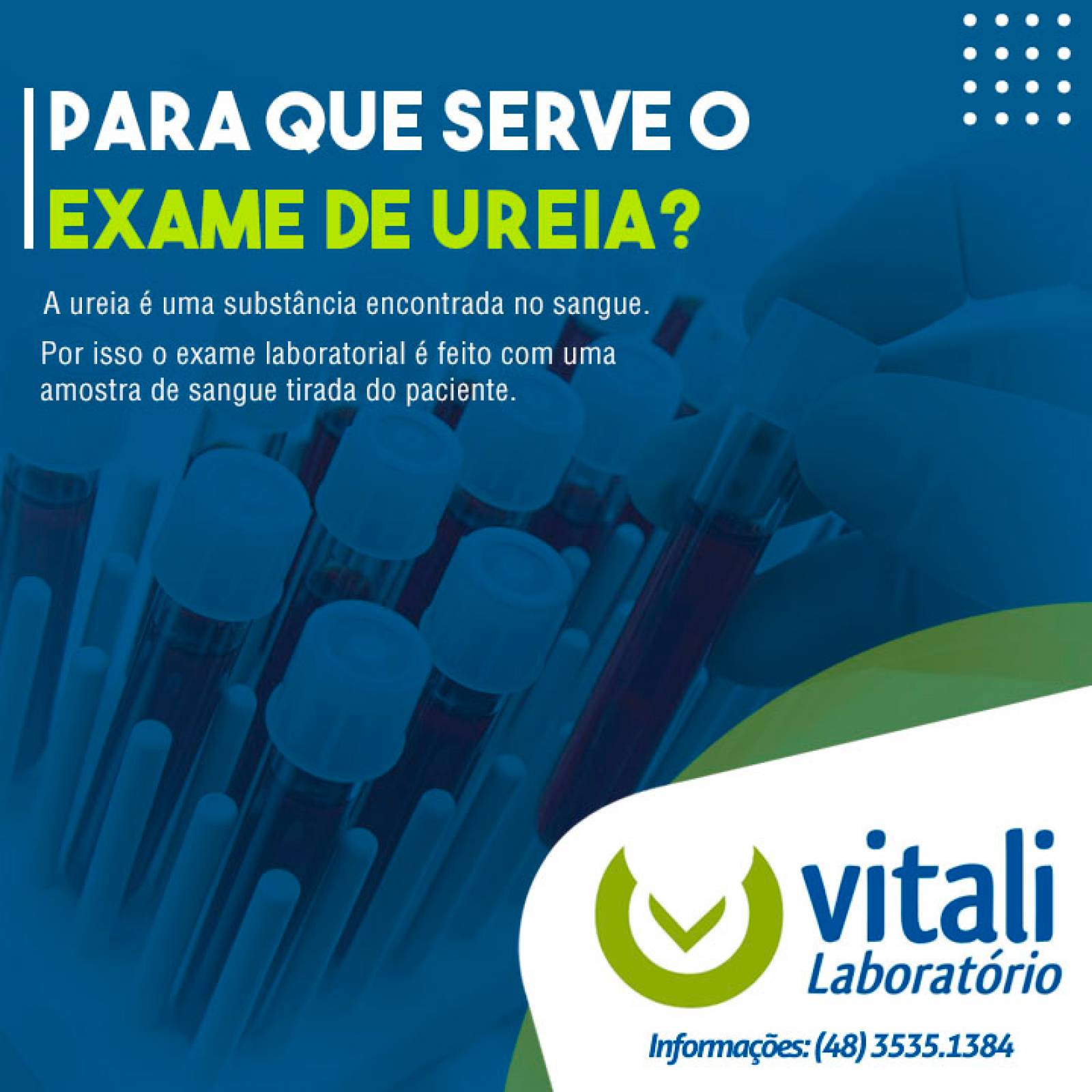 Exame de Ureia no Sangue: Entenda Seus Resultados e a Saúde dos Rins