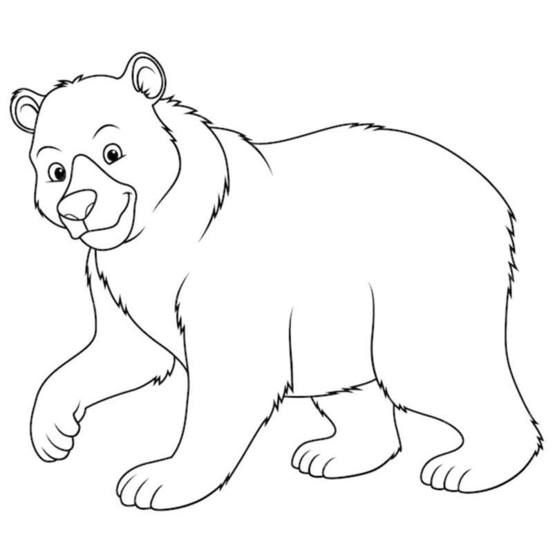 desenho de urso para colorir