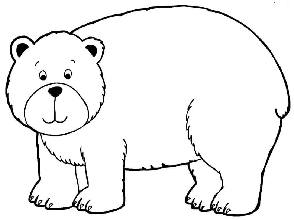 desenhos de ursos para imprimir