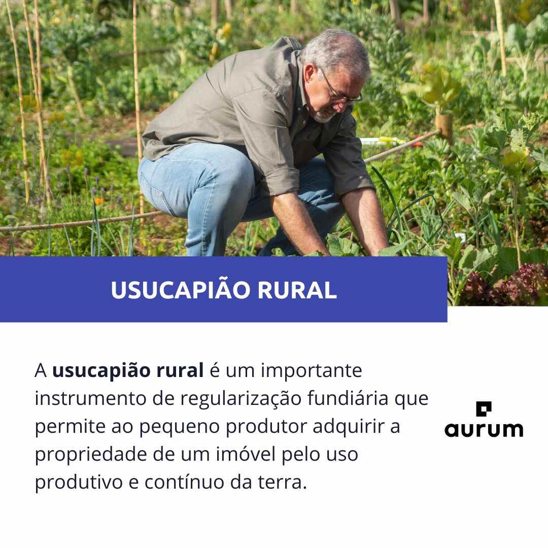 O Custo da Usucapião Rural: Honorários e Taxas Envolvidas