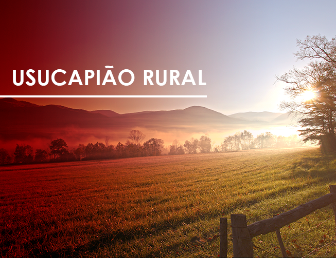 Usucapião Rural Judicial vs. Extrajudicial: Qual o Melhor Caminho?