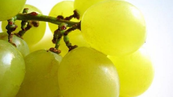 uva e controle de peso