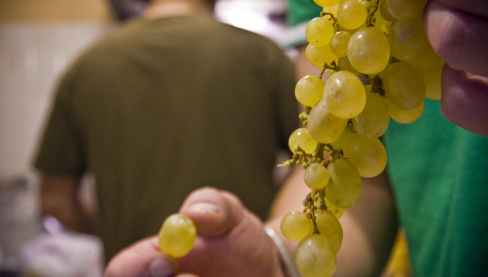 uva e controle de peso