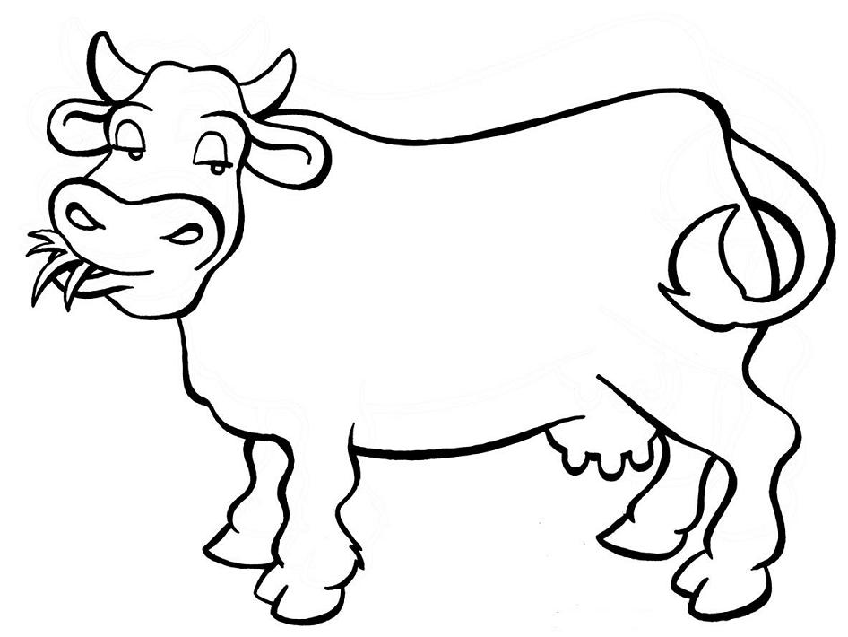 cores de vaca para pintura