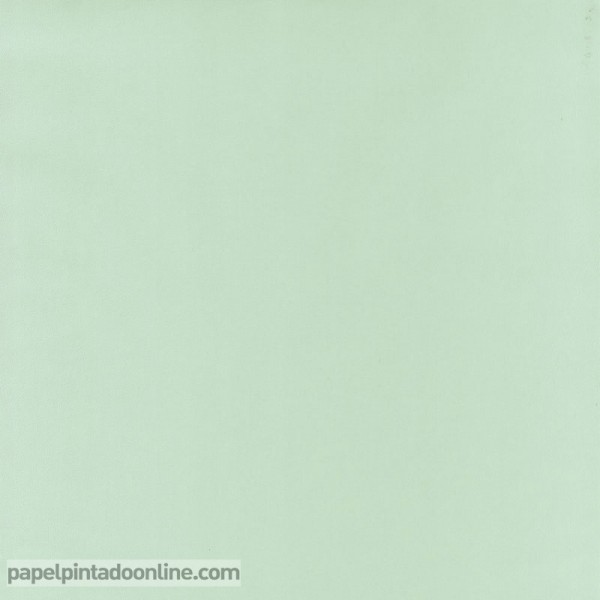 decoração com verde água