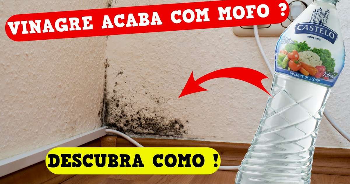vinagre de álcool vs água sanitária qual o melhor para mofo na parede