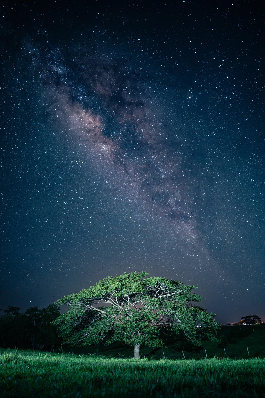 free 4k mobile wallpaper