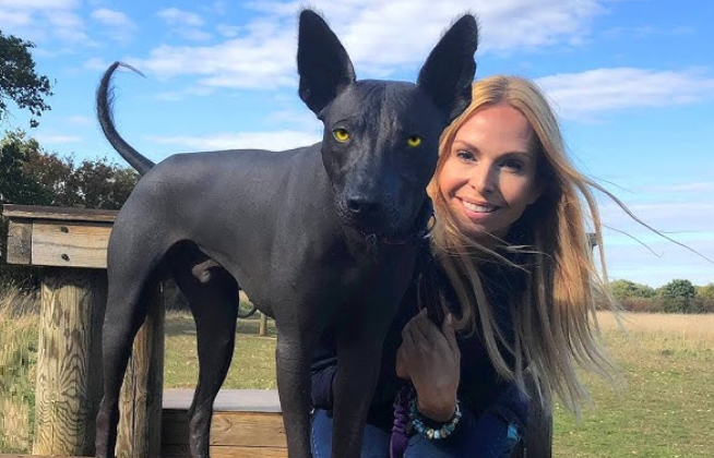 Comparativo: Xoloitzcuintli com pelo vs. sem pelo