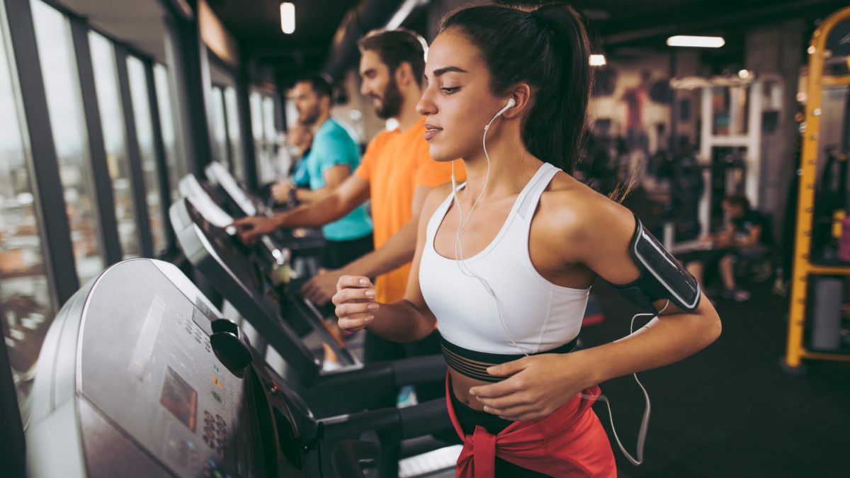 divisão de treino semanal