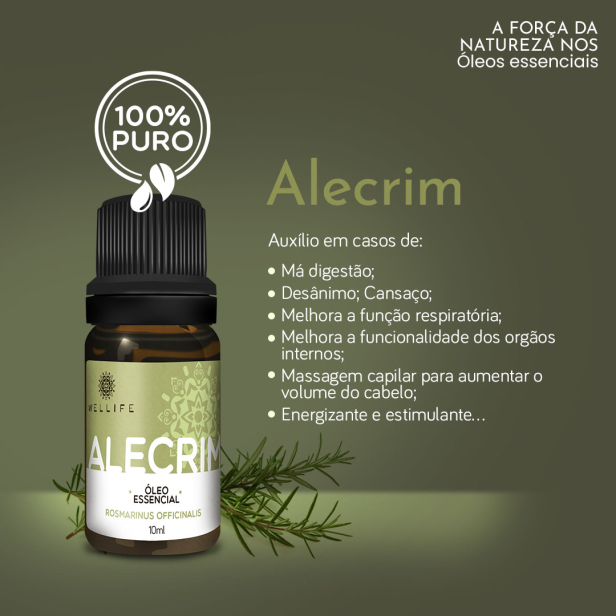 benefícios do alecrim para cabelo