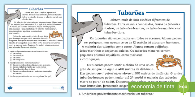 material de português 3 ano interpretação