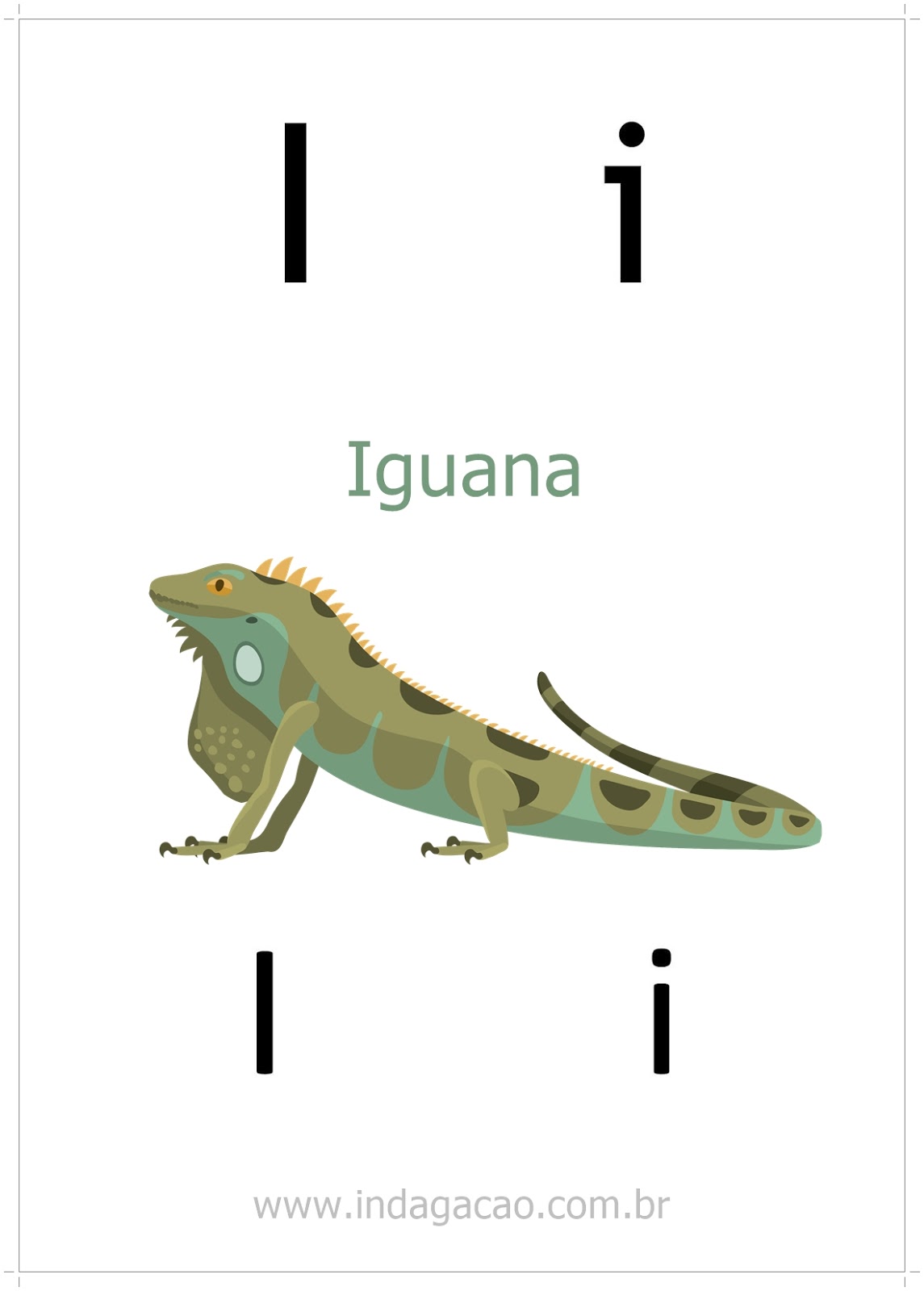 animais com a letra i para stop