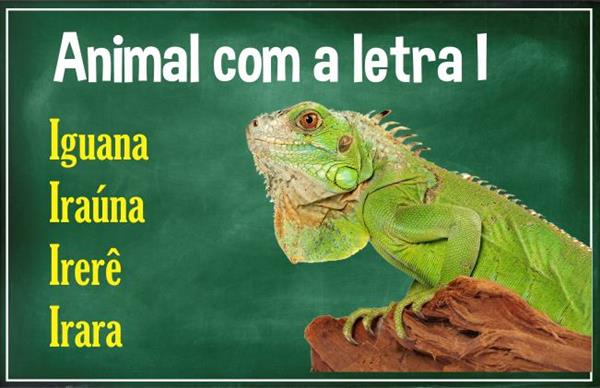 animais com i em inglês