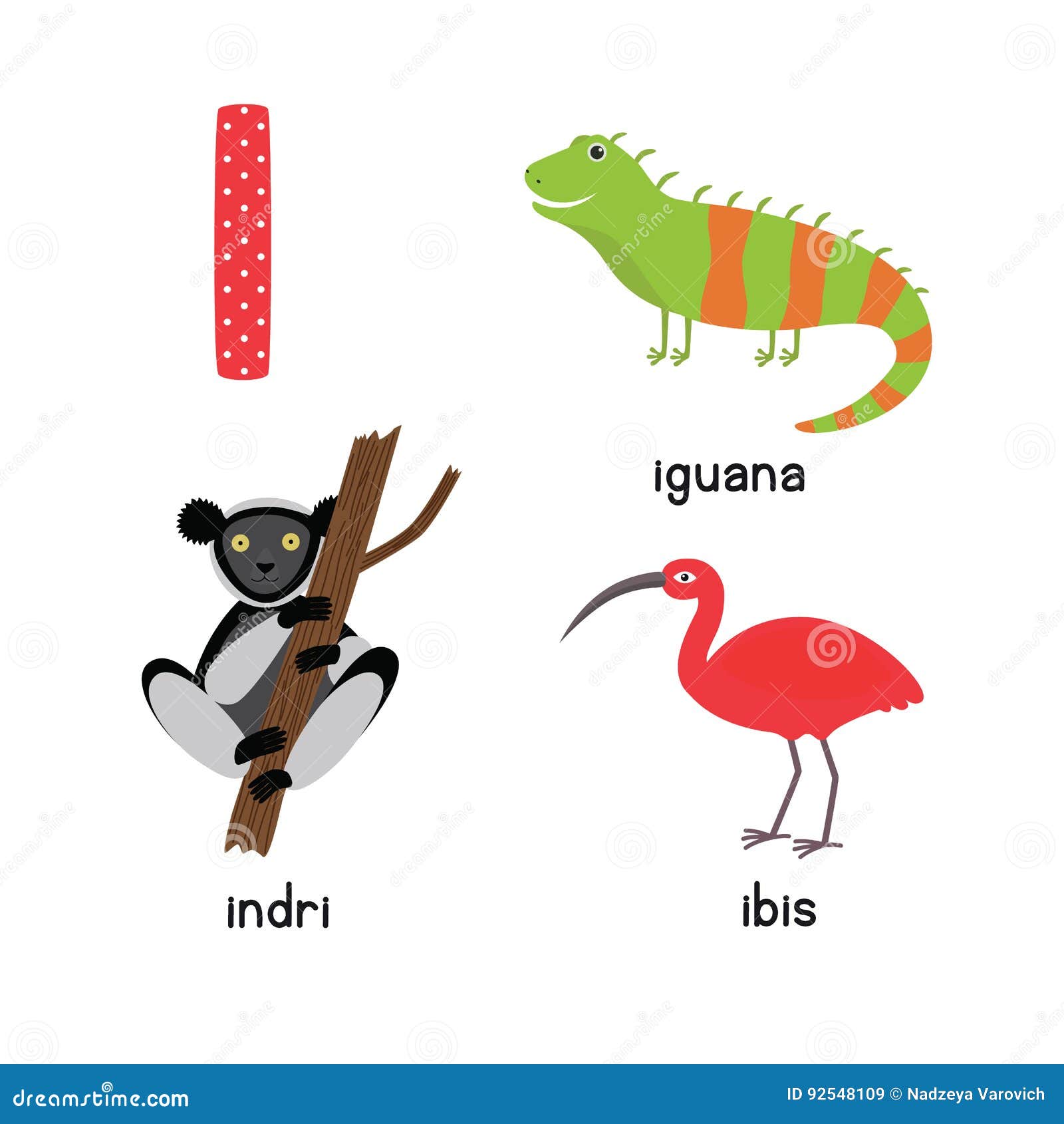 animais com i em espanhol