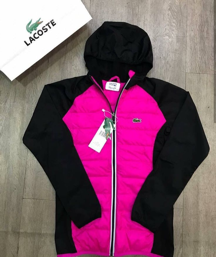 tendências de moletons Lacoste